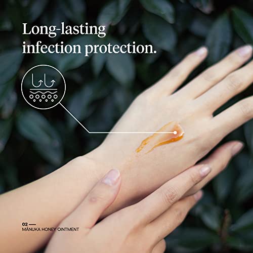 First Honey Wound Healing Ointment [ 1oz - 28.4g ] | 100% Active Leptospermum | Fast Relief & Skin Repair | Manuka Honey f...