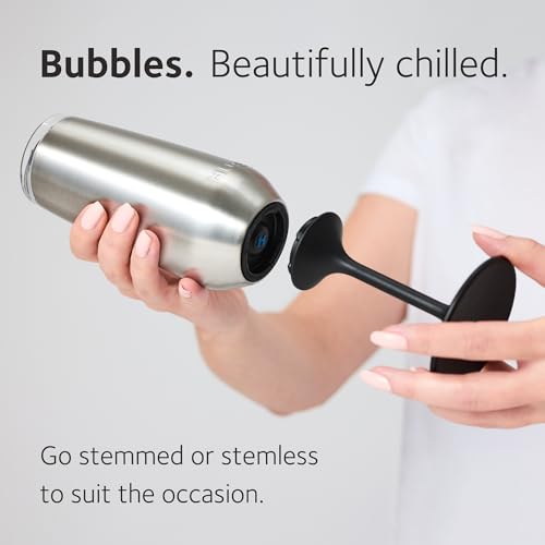 Huski Champagne Flute | NEW | Award-winning Design with Detachable Stem | Premium Stainless Steel Champagne Glass with Lid...