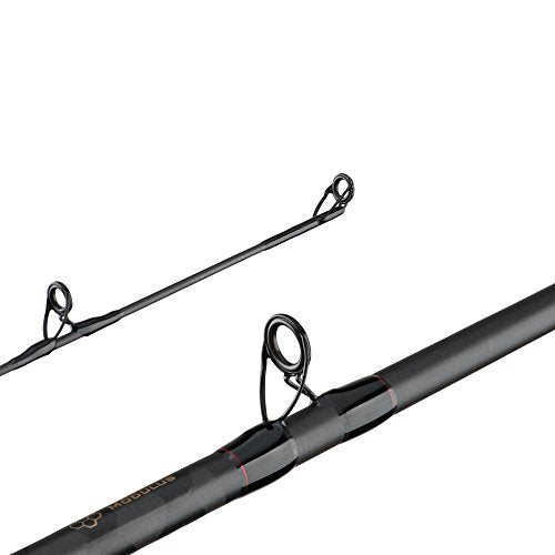 Berkley 7’ Lightning Rod Casting Rod, One Piece Casting Rod, 8-14lb Line Rating, Medium Rod Power, Moderate Fast Action, ...