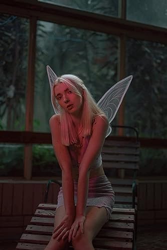 Oprtuisi Fairy Wings, Shiny Transparent Wings, Angel Wings Sutable for Halloween Costume Dress Up and Taking Beautiful Photos