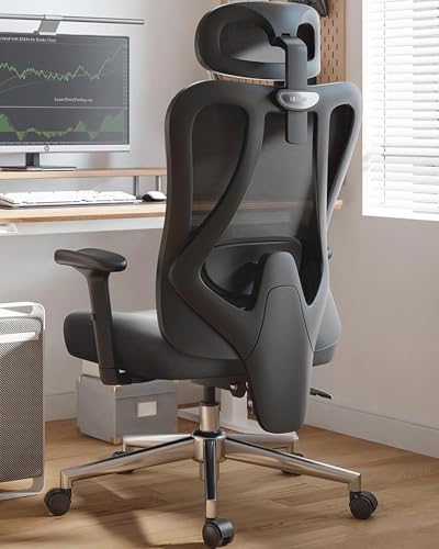 Hbada P3 Ergonnomic Office Chair with 2D Adjustable Lumbar Support, Office Chair with Adjustable Headrest and Armrest, 14...