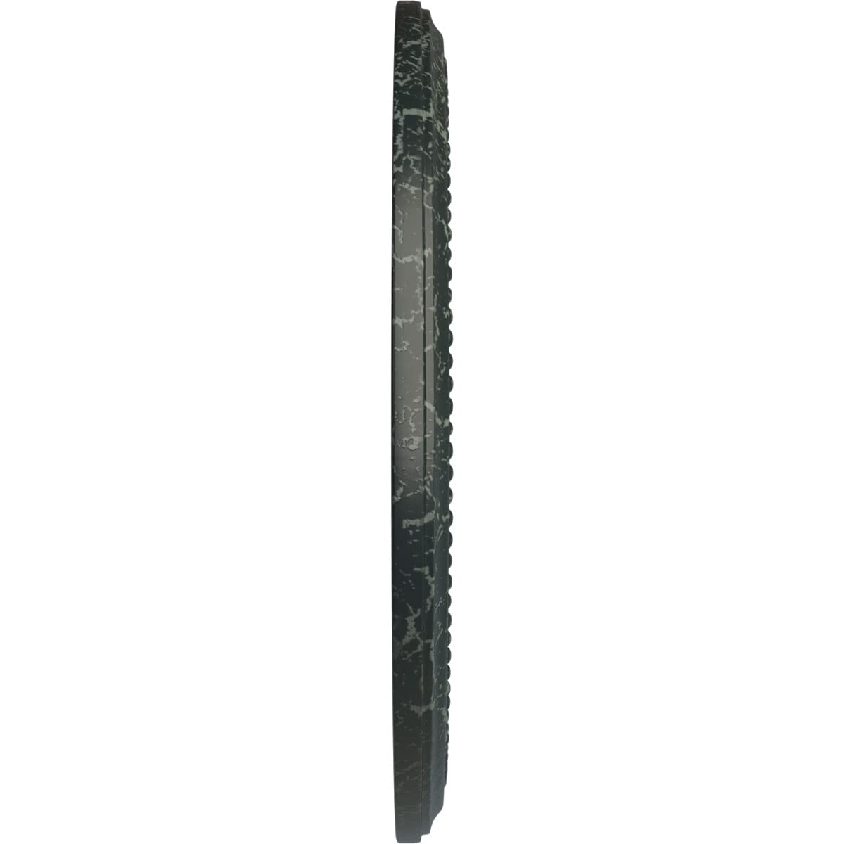 Ekena Millwork Cm18Diptc Diane Ceiling Medallion, 18Od X 3 5/8Id X 1 1/8P (Fits Canopies Up To 5 3/8), Hand-Painted Painted Turt