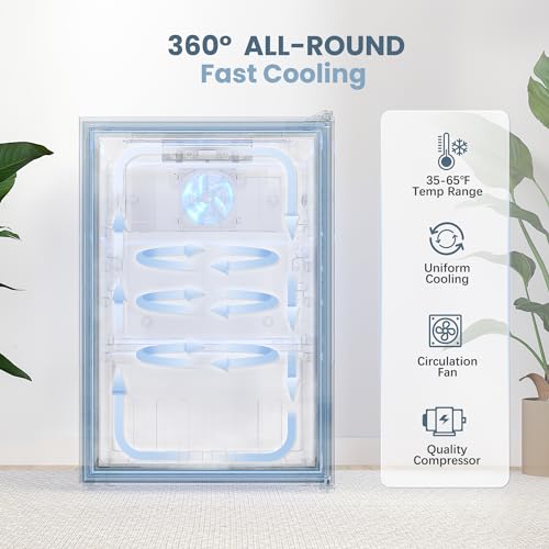 Manastin Beverage Refrigerator Cooler-Mini Fridge Freestanding Cooler with Glass Door, Adjustable Shelves & Digital Temper...