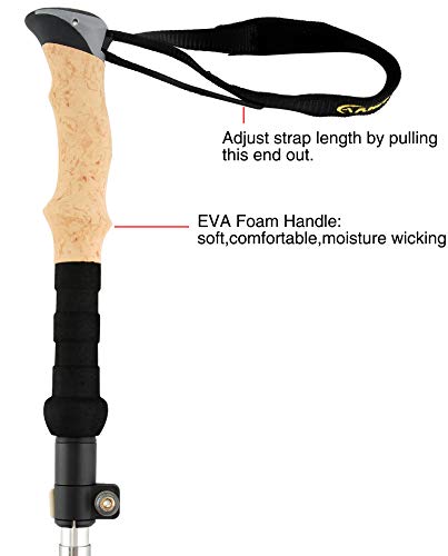 A ALAFEN Aluminum Collapsible Ultralight Travel Trekking Hiking Pole for Men and Women (Fits 5'3" - 6'2")