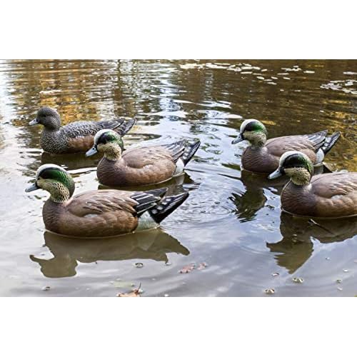 Flambeau Outdoors 8024SUV Storm Front 2 Wigeon Decoys, Classic Floaters - 6-Pack