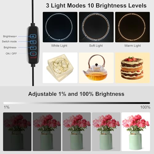 TzezFoz 16x16in Folding Portable Photo Lighting Studio with Ring Light, 224 LEDs 10-Level Dimmable USB Powered Shooting Te...