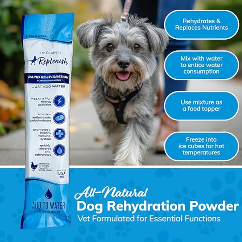 Replenish Dog Recovery Water Supplement – Pedialyte for Dogs Hydration Drink & Water Additive - Electrolytes for Dogs Hydr...