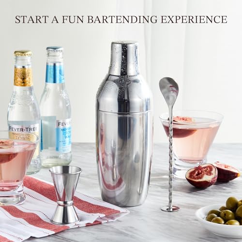 KITESSENSU Cocktail Shaker Set with Carry Case: Vacuum Insulated Martini Shaker with Built-in Strainer, 2 Martini Glasses,...