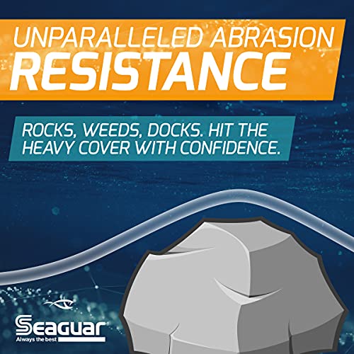 Seaguar Blue Label Fishing Leader Line for Saltwater, 100% Fluorocarbon, Clear, Multiple Sizes