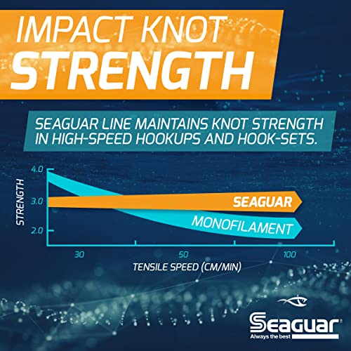 Seaguar Blue Label Fishing Leader Line for Saltwater, 100% Fluorocarbon, Clear, Multiple Sizes