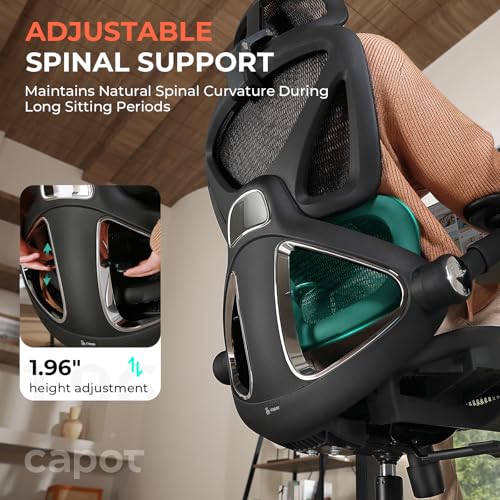 CAPOT Ergonomic Mesh Office Chair, Adjustable Lumbar High Back Desk Chair 400lbs, 4D Flip-up Arms, 3-Level Tilt Backrest, ...