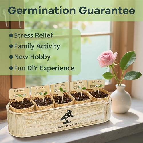 LUOJIBIE Bonsai Tree Kit for Beginners - Unique DIY Japanese Bonsai Trees,Crafts for Adults, Ideal Gardening Birthday Gift...