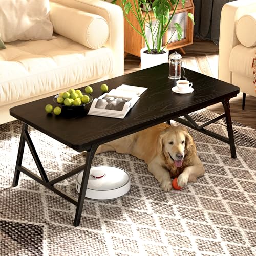 QUERNA Folding Coffee Table, No Assembly Low Coffee Table, Floor Table Desk for Sitting on The Floor, Portable Floor Table...