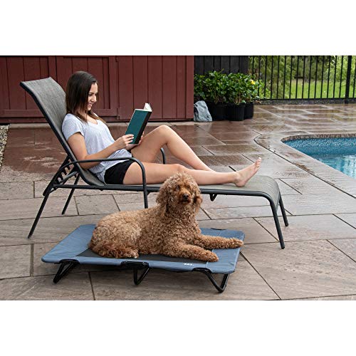 Pet Gear Lifestyle Pet Cot Elevated Bed | No Assembly Required | Premium Tear Resistant Cooling Mesh | Indoor & Outdoor | ...