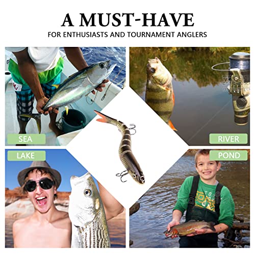 Pumowu Fishing Lures Set - Multi-Stage Bait, Slow Sinking Bionic Bait for Freshwater & Saltwater Bass - Men's Fishing Gift