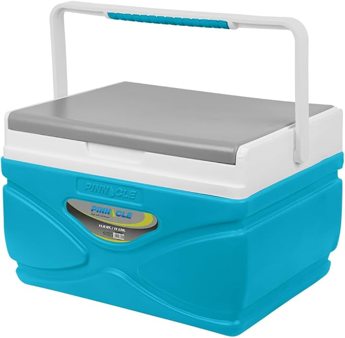 Picnic Cooler – 4.5 Liter Hard Cooler – Coolbox Keeps Contents Cool for 48 Hours – BPA Free Outdoor Cooler – Portable Cool...