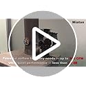 Miaton Oscillating Wood Stove Fan Heat Powered With High Air Volume | 5 Blade Fireplace Fan with Stove Thermometer | Non-e...