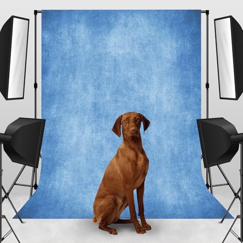 Photo Backdrop Light Blue Background 5x7ft Studio Abstract Texture Photography Portrait Photography Theme Event Bachelor P...
