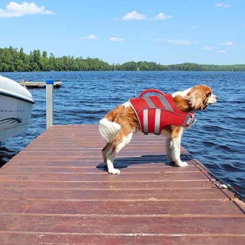 Kuoser Dog Life Jacket with Reflective Stripes - Adjustable High Visibility Vest, Ripstop Lifesaver, Pet Preserver with Hi...