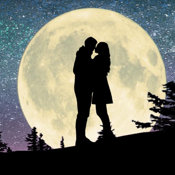 Personal-Prints | Personalized Gifts for a Romantic Valentine’s Day or Anniversary | Stretched Canvas Customized and Ready to Display with an Easel Back (1 - Written in the Stars)