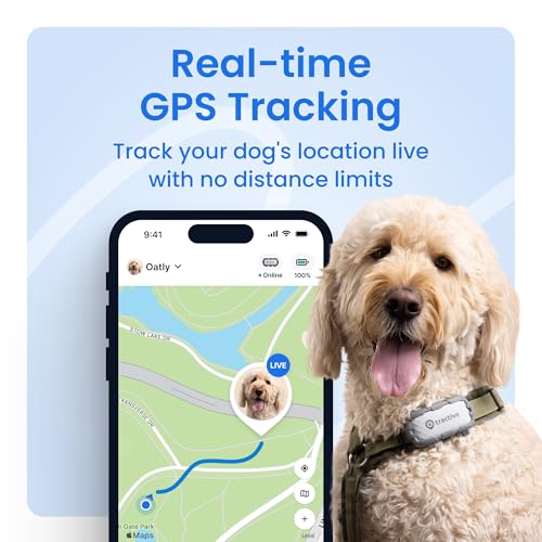 Tractive XL Smart Dog GPS Tracker | Live Pet Tracker with Virtual Fence | Vital Signs Monitoring of Heart & Respiratory Ra...