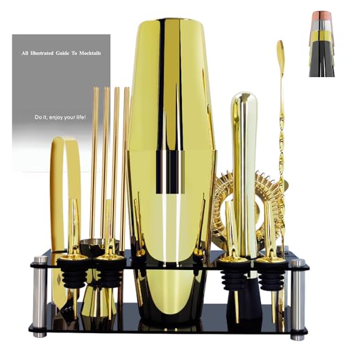 Professional Cocktail Shaker Set with Stand Cocktail Recipes, 15-Piece 750/600ml Bartender Kit, Bar Sets Bartending Kit Ba...