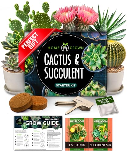 HOME GROWN Succulent & Cactus Seed Kit for Planting – [Enthusiasts Favorites] Premium Cactus & Succulent Starter Kit: 4 Pl...
