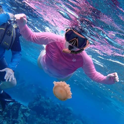 Snorkeling Gear for Adults, Dry-Top Snorkel Set Scuba Diving mask, 180°Panoramic Wide View Professional Snorkeling Gear Br...