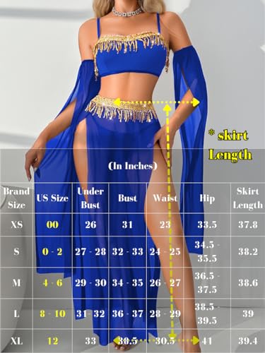 ShawGobow Exotic Wear Dancer Outfits,High Slit Skirt Sexy Lingerie For Women,Belly Dance Costume Cosplay Festival