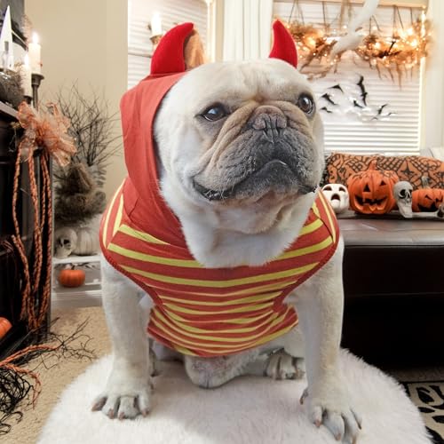 CHEERTAILS Dog Halloween Costumes for Medium Dogs, French Bulldog Clothes Frenchie Halloween Dog Costume Tank Top Summer S...