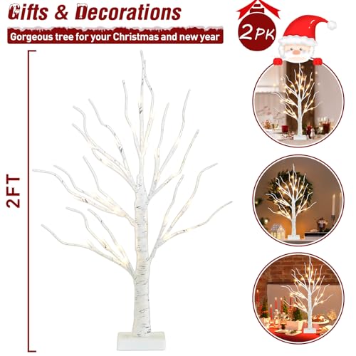 PEIDUO Christmas Decorations Indoor, 2 FT Birch Tree with LED Lights, Fairy Light Spirit Tree for Christmas Decor, Warm Wh...