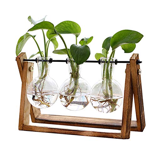 XXXFLOWER Plant Terrarium with Wooden Stand, Air Planter Bulb Glass Vase Metal Swivel Holder Retro Tabletop for Hydroponic...