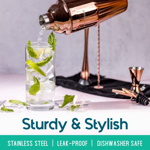 Modern Mixology 8-Piece Cocktail Shaker Set with Velvet Bag | Complete Cocktail Kit Gift Set | Top Bartender Gifts for Men...