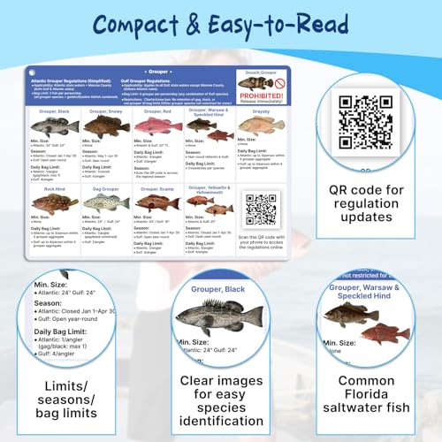 OCQOTAT Florida Saltwater Fish& Shark Identification Set–4 Double-Sided Waterproof Quick-Reference Fishing Guide Cards wit...