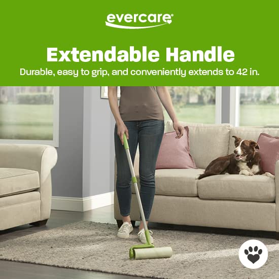 Evercare Pet, Lint Roller Refill, 60 Sheet Roll (6 Packs)