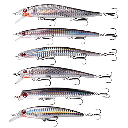 OROOTL Saltwater Fishing Lures Kit, 6 Pack Assorted Surf Fishing Jerkbait Minnow Lures Hard Baits Popper Plugs for Striped...