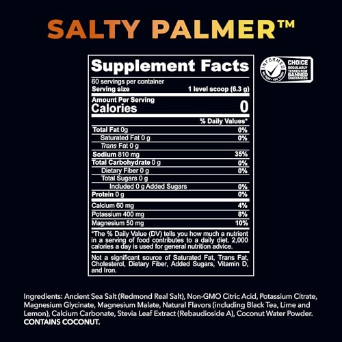 REDMOND Re-Lyte Hydration Electrolyte Mix Powder Limited Edition (Salty Palmer)