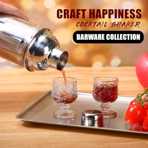 Nitial 6 Pcs 25 oz Stainless Steel Cocktail Shaker No Leaks Martini Shaker with Built In Strainer Bar Bartender Margarita ...