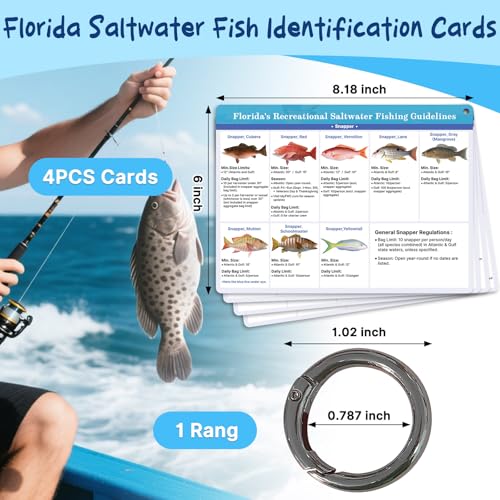 OCQOTAT Florida Saltwater Fish& Shark Identification Set–4 Double-Sided Waterproof Quick-Reference Fishing Guide Cards wit...