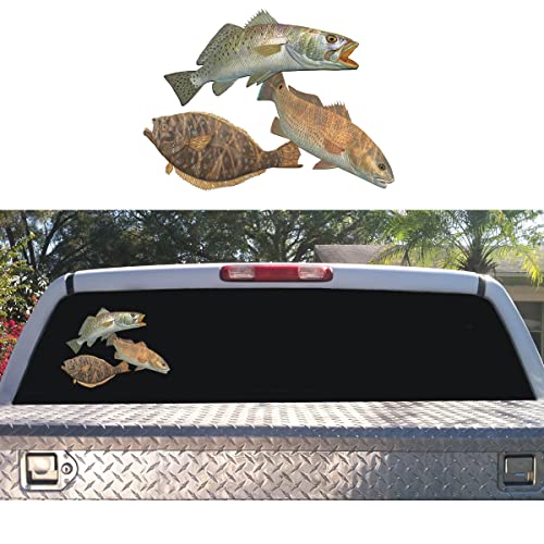 Saltwater Fish Decals Inshore Slam Flounder Fluke Fishing Stickers Redfish Red Drum Seatrout UV Protected Sea Trout Fish S...