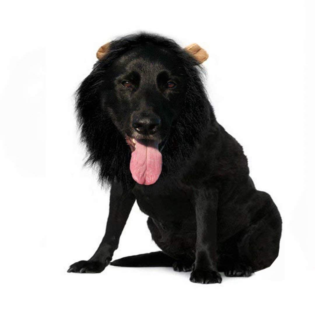 Lions Mane for Large Dog Halloween Costumes, Pet Black Wig with Ears