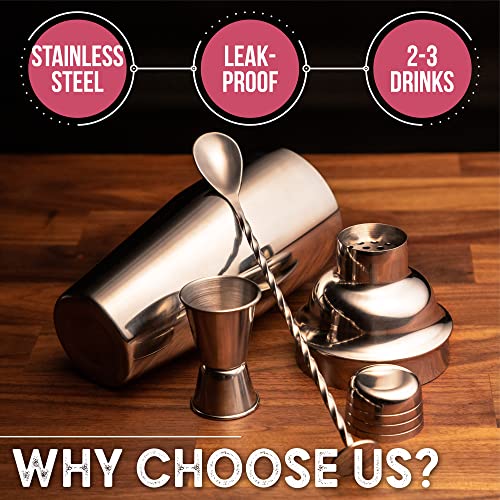 Cresimo 24oz Cocktail Shaker Set with Bar Accessories for Home Bar - Martini Shaker with Jigger and Drink Mixer Spoon - Al...