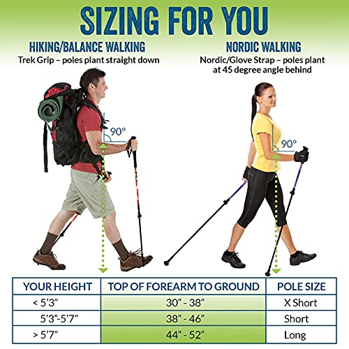 York Nordic Ultralight Folding Walking Poles - Travel Ready - with Rubber Feet, Baskets, and Bag