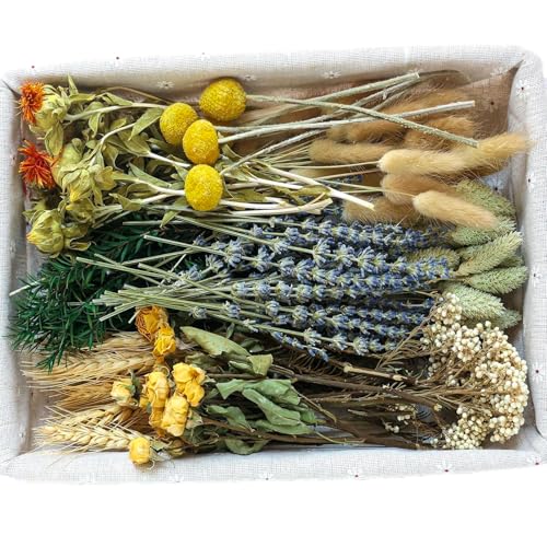 DIY Natural Dried Flower Set, Bulk Dried Flowers for Vase, Dried Flowers with Stems, Dried Roses, Mini Dried Flower Bouque...