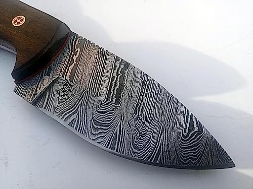 Handmade Damascus Steel Skinner Knife – Premium Survival Knife for Camping & Hiking with Beautiful Handcrafted Leather She...