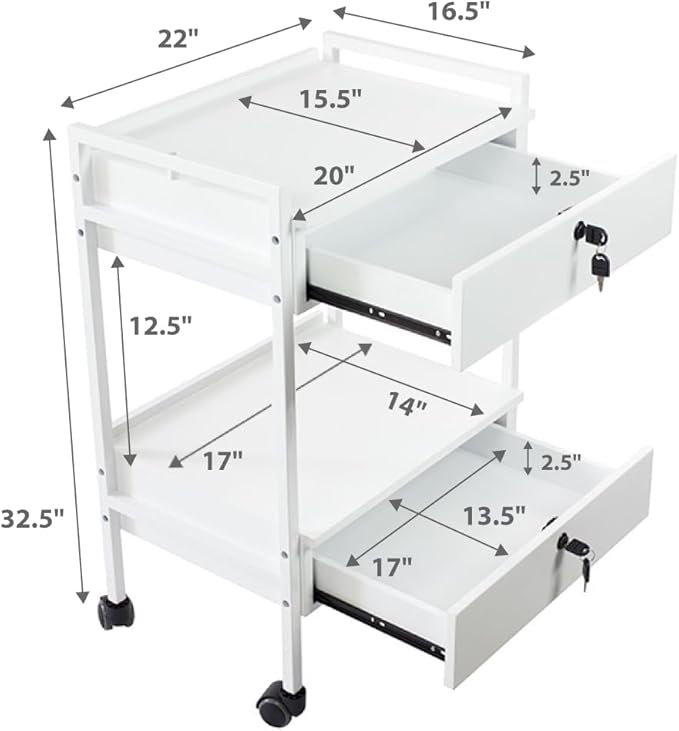 SKINACT Pro Medical Dental Mobile Utility Cabinet & Cart with Steel Frame and Two Drawer