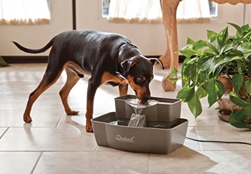 PetSafe Drinkwell Multi-Tier Pet Fountain - Encourages Hydration for Cats & Dogs - Large-Capacity Waterer - Double Tier - ...