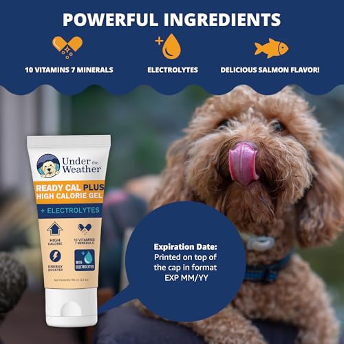 Under the Weather Pet Electrolytes Ready Cal Plus Gel for Dogs | Vet-Formulated High-Calorie Supplement for Dog & Puppy | ...