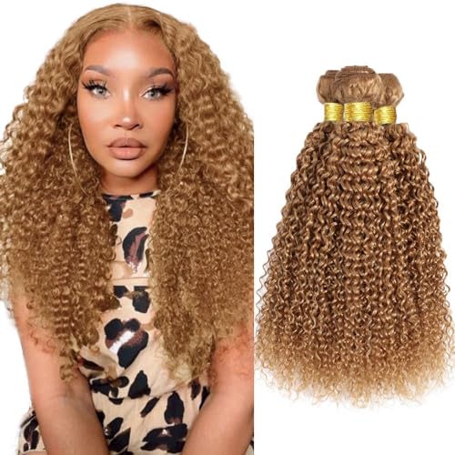 22 24 26 Inch Color 27 Bundles Human Hair Honey Blonde Curly Bundles Brazilian Unprocessed Virgin Hair 3 Bundles Color 27 Kinky Curly Bundles Human Hair