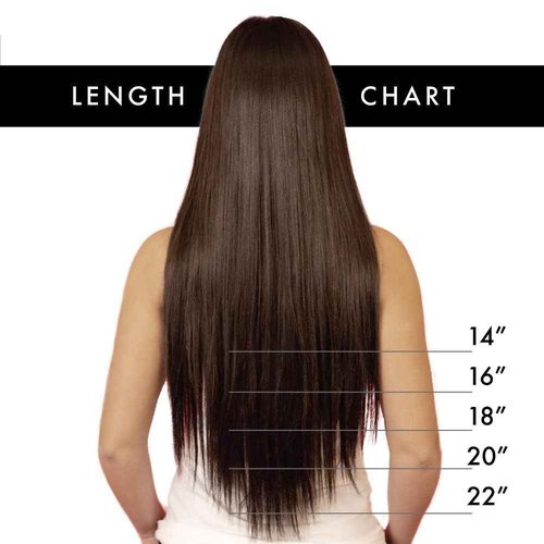 U Tip Hair Extensions by Everlong, Remy Human Hair, Fusion Glue Adhesive Method, Premium Keratin 56 gram Bundles, 22" #2 Darkest Brown